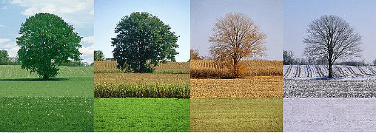 《愿景之城》《中世纪王朝》在Steam上火热促销，Toplitz游戏享75%最高折扣