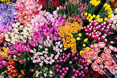 《漫威未来革命》手游新预告 新角色绯红女巫登场